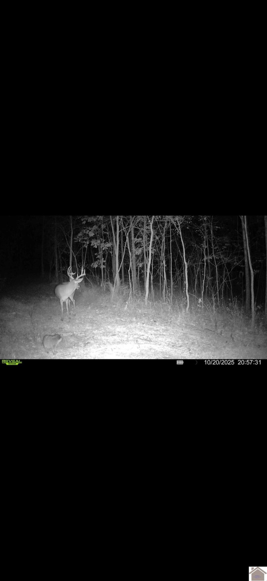 5770 Contest Road Paducah, KY 42001 - Photo 10 of 11 Photo 10
