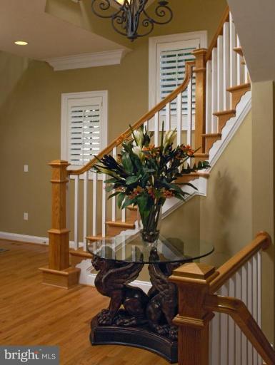 7105 Exfair Road Bethesda, MD 20814 - Photo 1 of 24 a vase of flowers sitting on a table