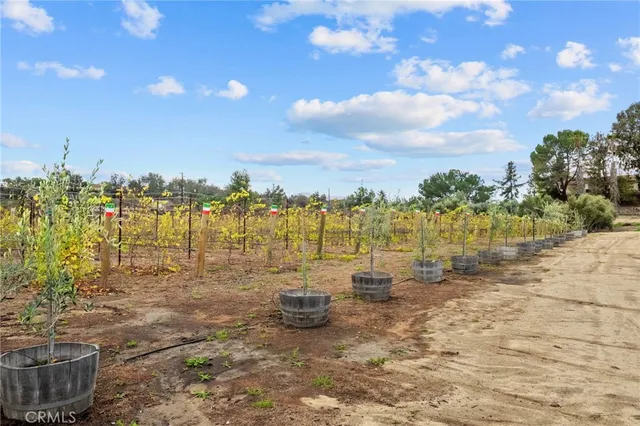 $7,000,000 | 41309 Ave Biona, Temecula, CA 92591