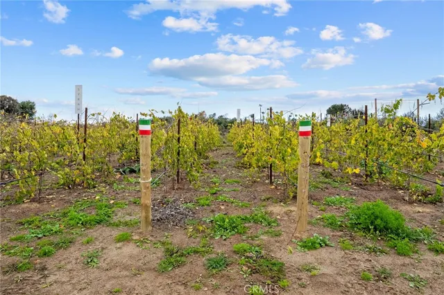 $7,000,000 | 41309 Ave Biona, Temecula, CA 92591