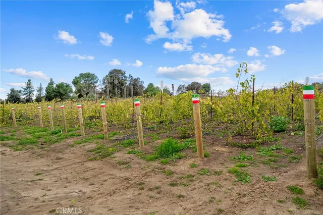 $7,000,000 | 41309 Ave Biona, Temecula, CA 92591