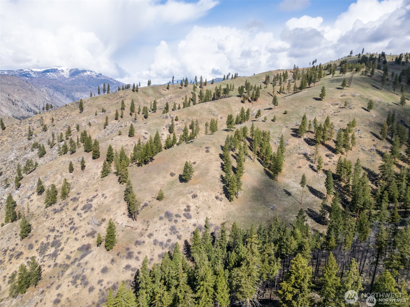 12 Entiat River Road Entiat, WA 98822 - Photo 15 of 22 a view of mountains and mountain