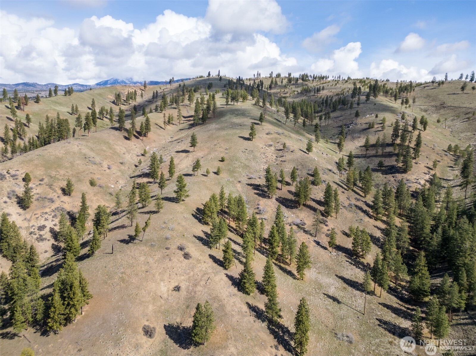 12 Entiat River Road Entiat, WA 98822 - Photo 19 of 22 a view of a sky view