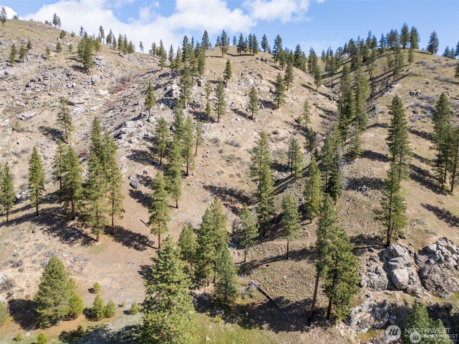 12 Entiat River Road Entiat, WA 98822 - Photo 22 of 22 an aerial view of a houses with a yard