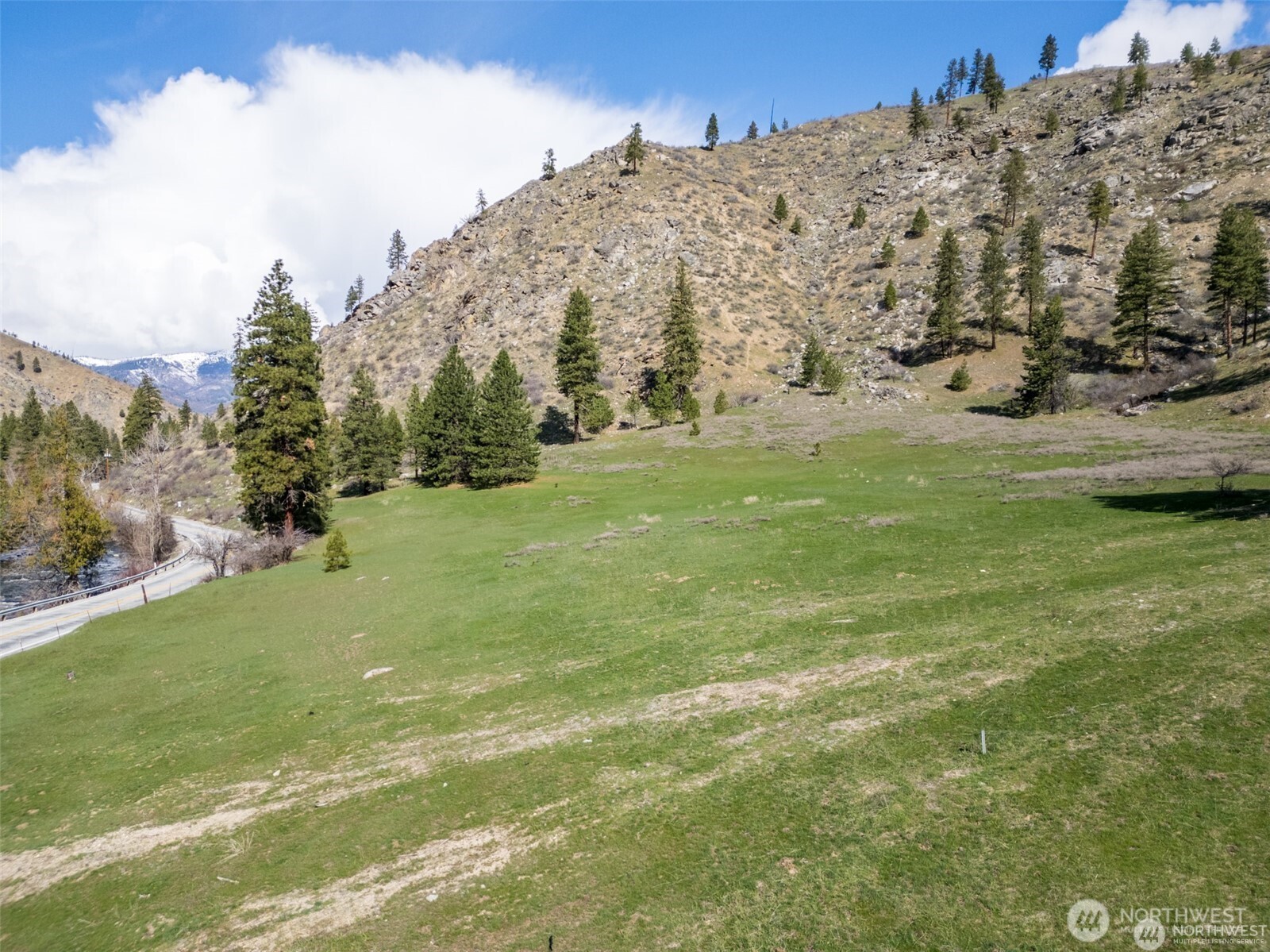 12 Entiat River Road Entiat, WA 98822 - Photo 5 of 22 a view of a field with an trees