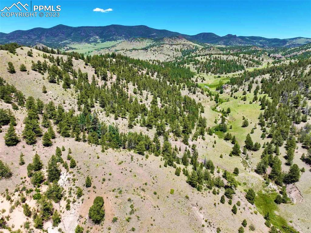 Elk Mountain Road Guffey, CO 80820 - Photo 12 of 39 a view of a field with a mountain in the background