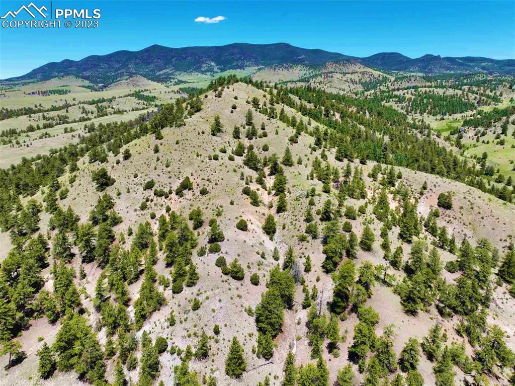 Elk Mountain Road Guffey, CO 80820 - Photo 13 of 39 a view of a mountain with a forest