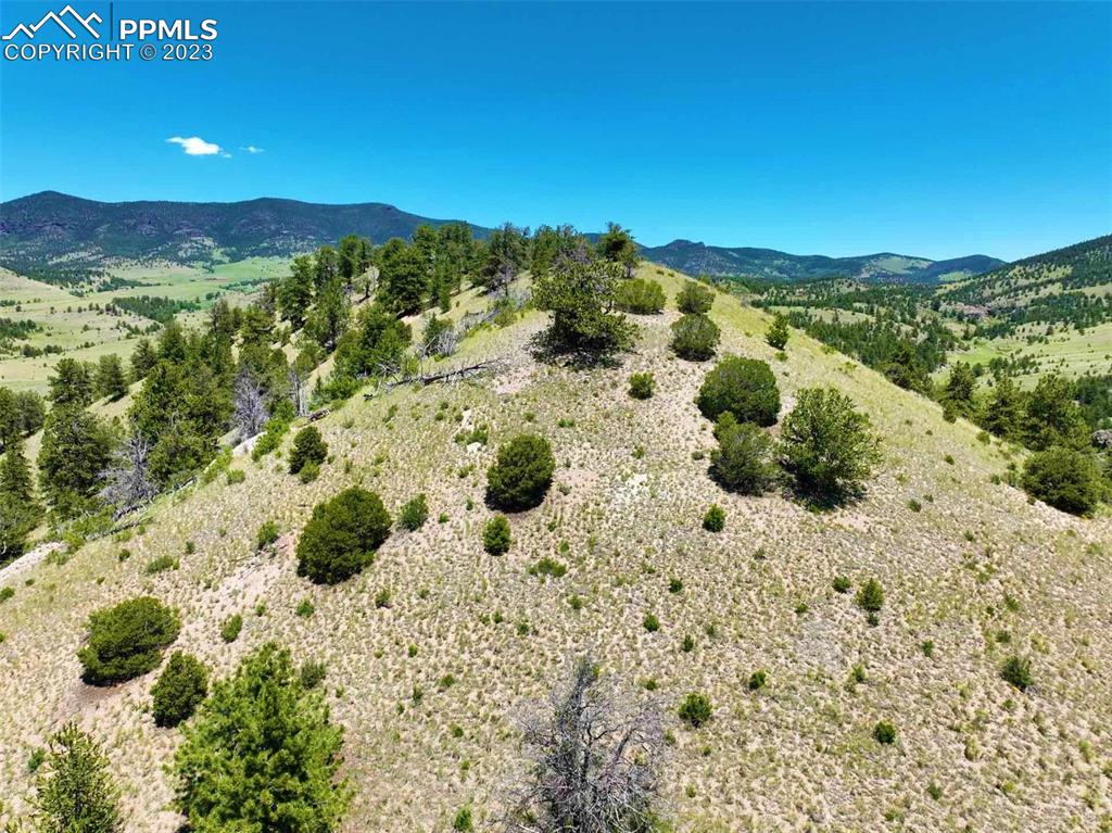 Elk Mountain Road Guffey, CO 80820 - Photo 17 of 39 a view of a yard