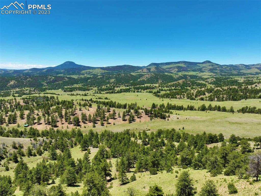 Elk Mountain Road Guffey, CO 80820 - Photo 19 of 39 a view of a green field with lots of bushes