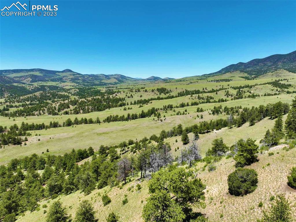 Elk Mountain Road Guffey, CO 80820 - Photo 20 of 39 a view of a field with an ocean
