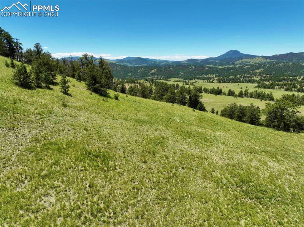 Elk Mountain Road Guffey, CO 80820 - Photo 24 of 39 a view of a lush green hillside and houses