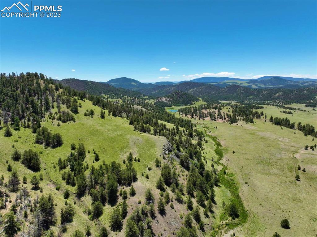 Elk Mountain Road Guffey, CO 80820 - Photo 27 of 39 a view of a lake with a mountain in the background