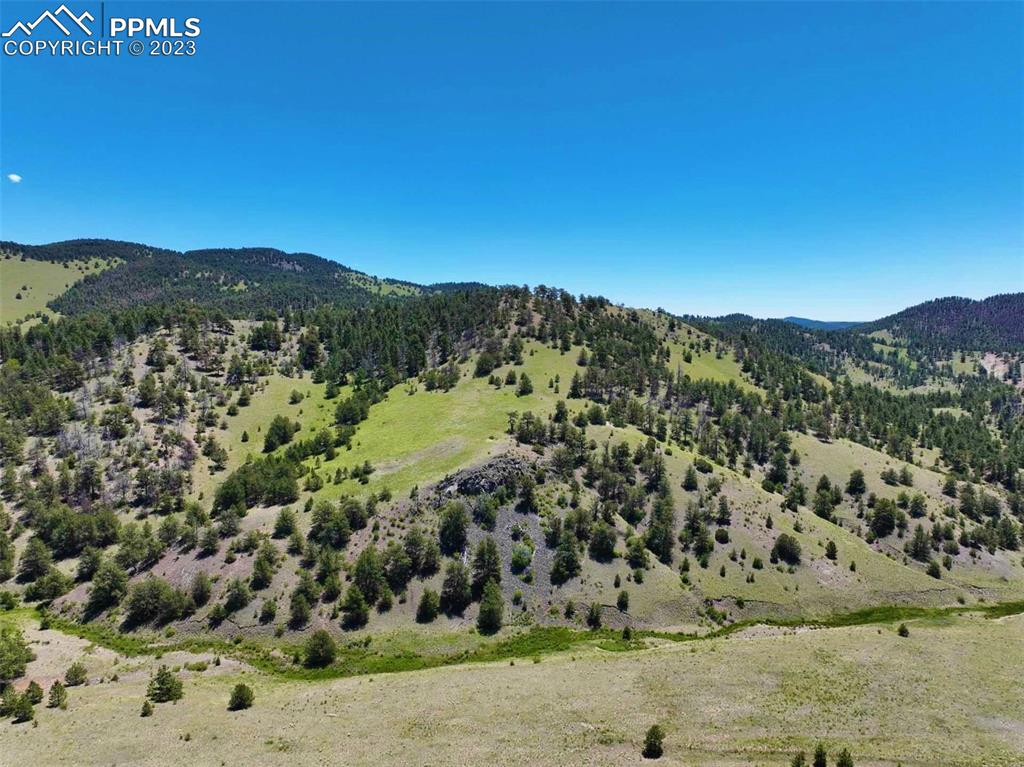 Elk Mountain Road Guffey, CO 80820 - Photo 28 of 39 a view of a field with a mountain in the background