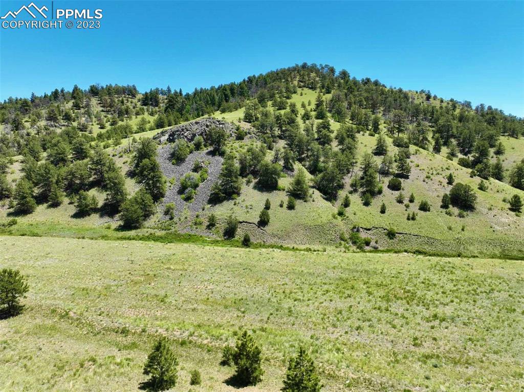 Elk Mountain Road Guffey, CO 80820 - Photo 29 of 39 a view of a big yard with lots of green space