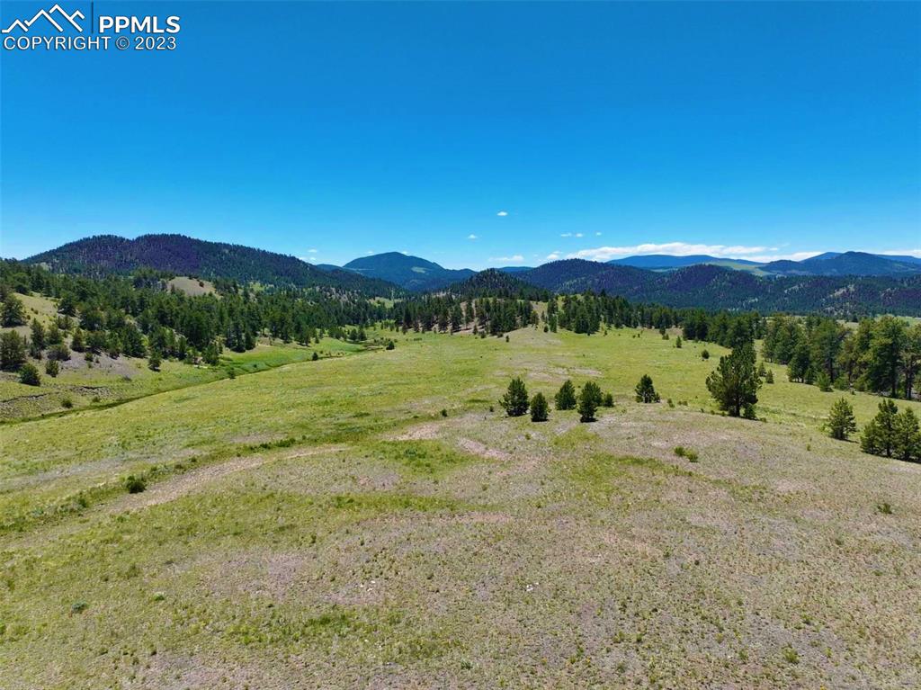 Elk Mountain Road Guffey, CO 80820 - Photo 30 of 39