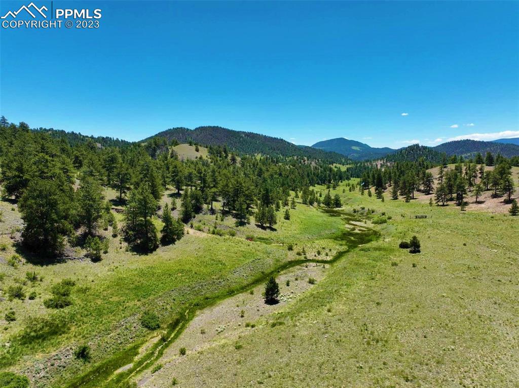 Elk Mountain Road Guffey, CO 80820 - Photo 3 of 39 a view of a lush green outdoor space with a garden