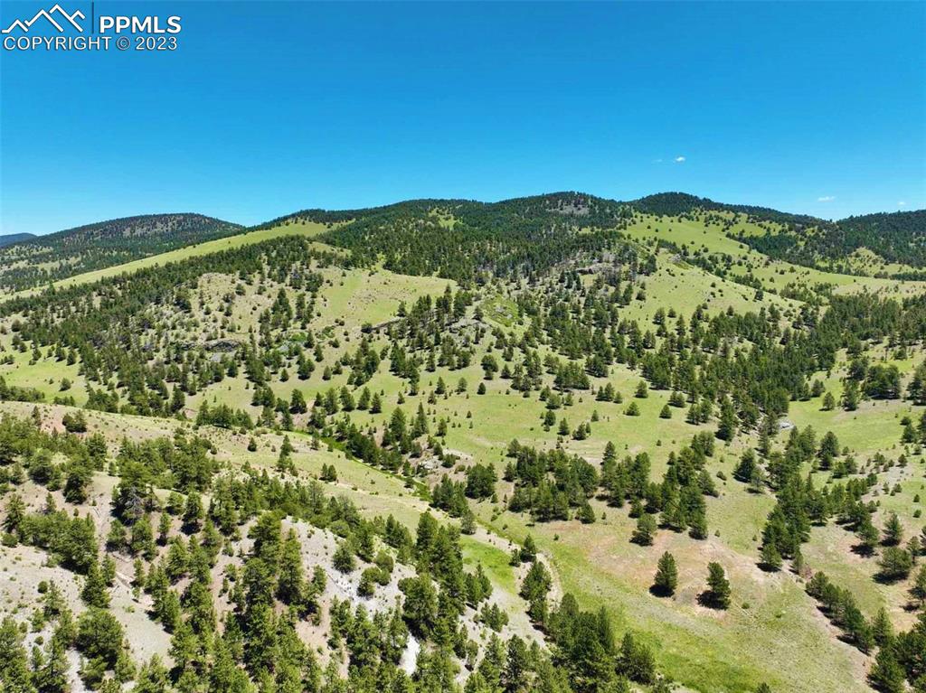 Elk Mountain Road Guffey, CO 80820 - Photo 37 of 39 a view of a field with mountains in the background