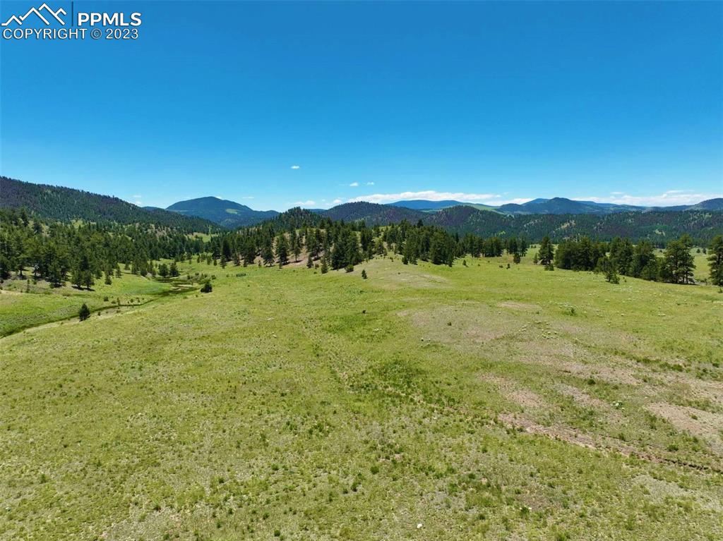 Elk Mountain Road Guffey, CO 80820 - Photo 4 of 39 a view of a green field with mountains in the background