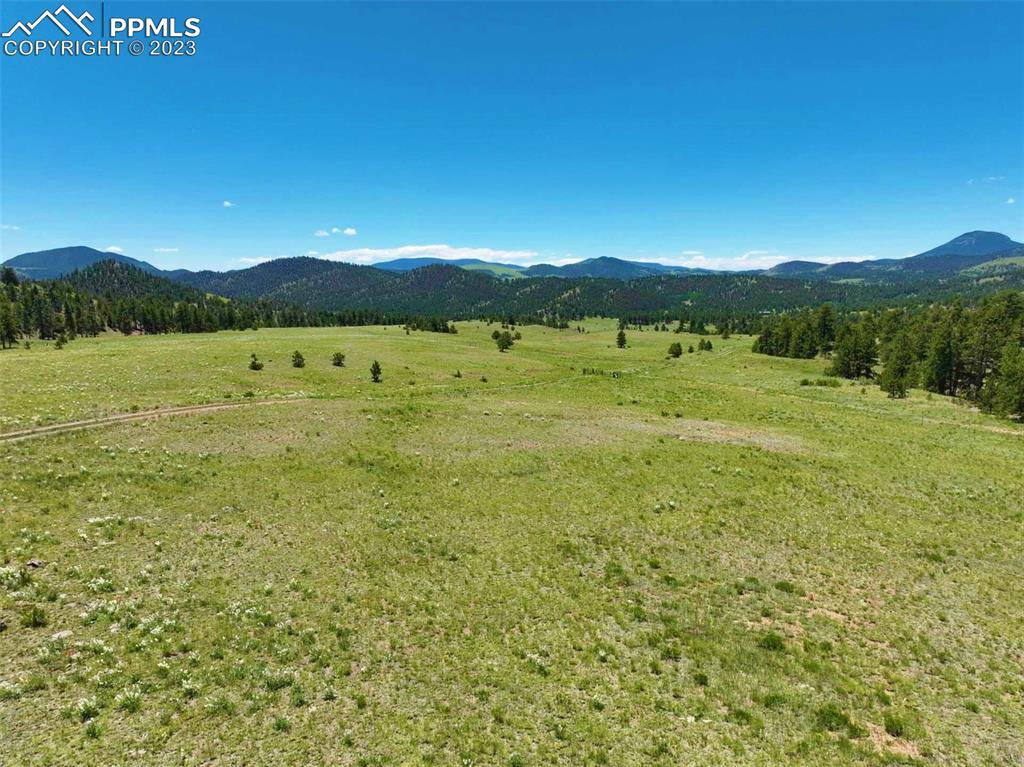 Elk Mountain Road Guffey, CO 80820 - Photo 7 of 39 a view of an outdoor space and a yard
