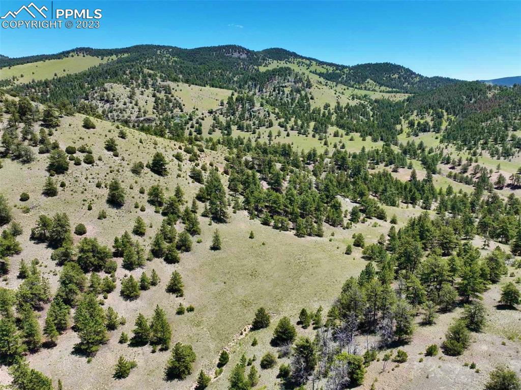Elk Mountain Road Guffey, CO 80820 - Photo 10 of 39 a view of a mountain in the distance
