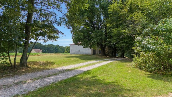 4664 New Cut Road Greenbrier, TN 37073 - Photo 73 of 85 a view of a yard with trees
