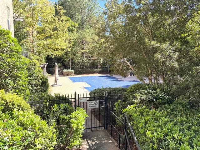 a view of a yard with plants and trees