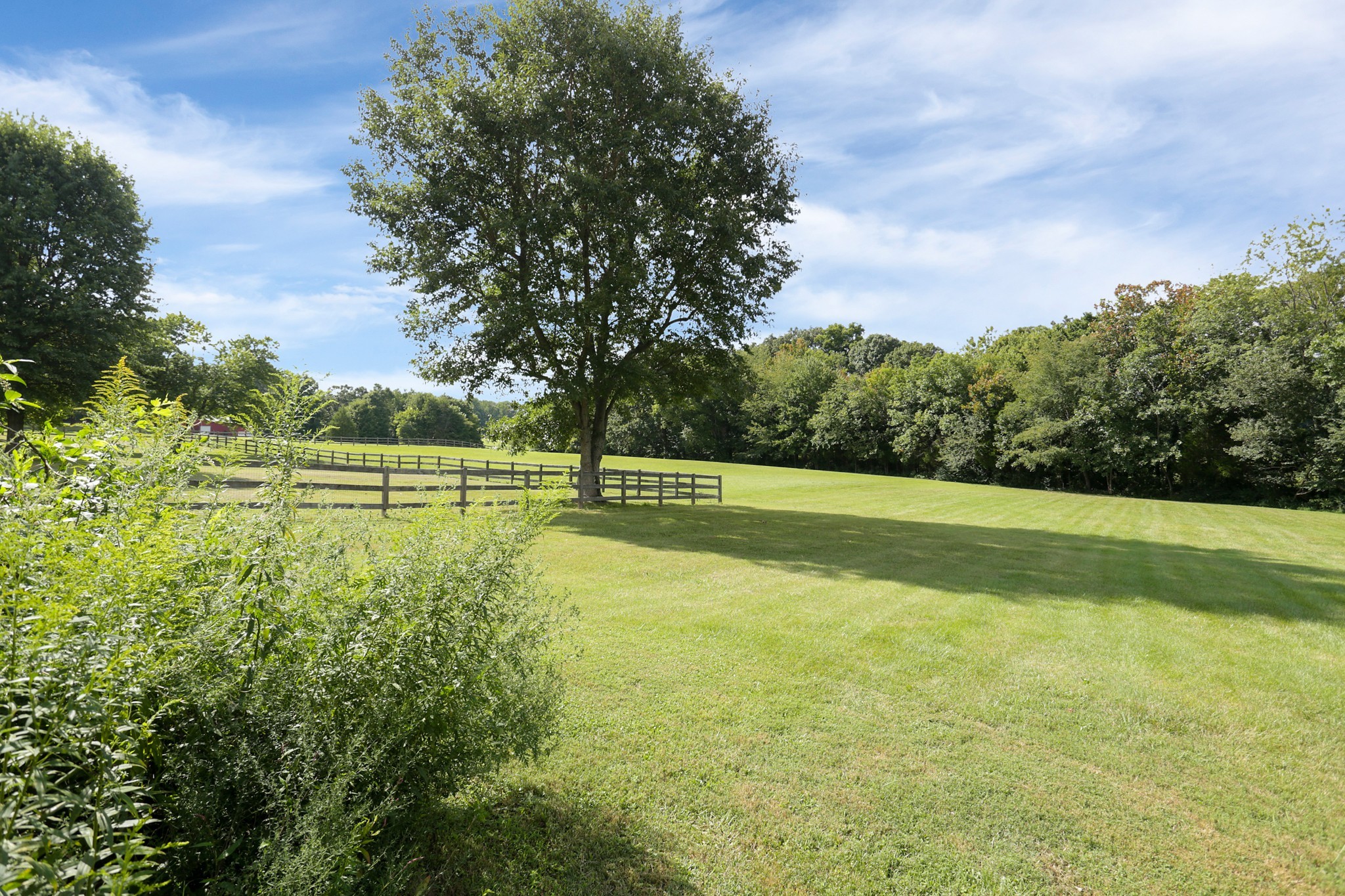 399 Parker Road Portland, TN 37148 - Photo 6 of 56 Gallery Image 6