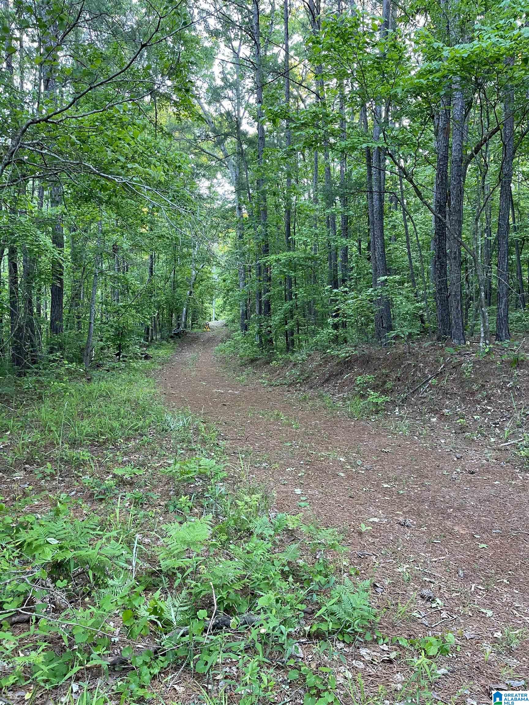 1192 Hidden Ridge Chelsea, AL 35043 - Photo 46 of 49 Gallery Image 46