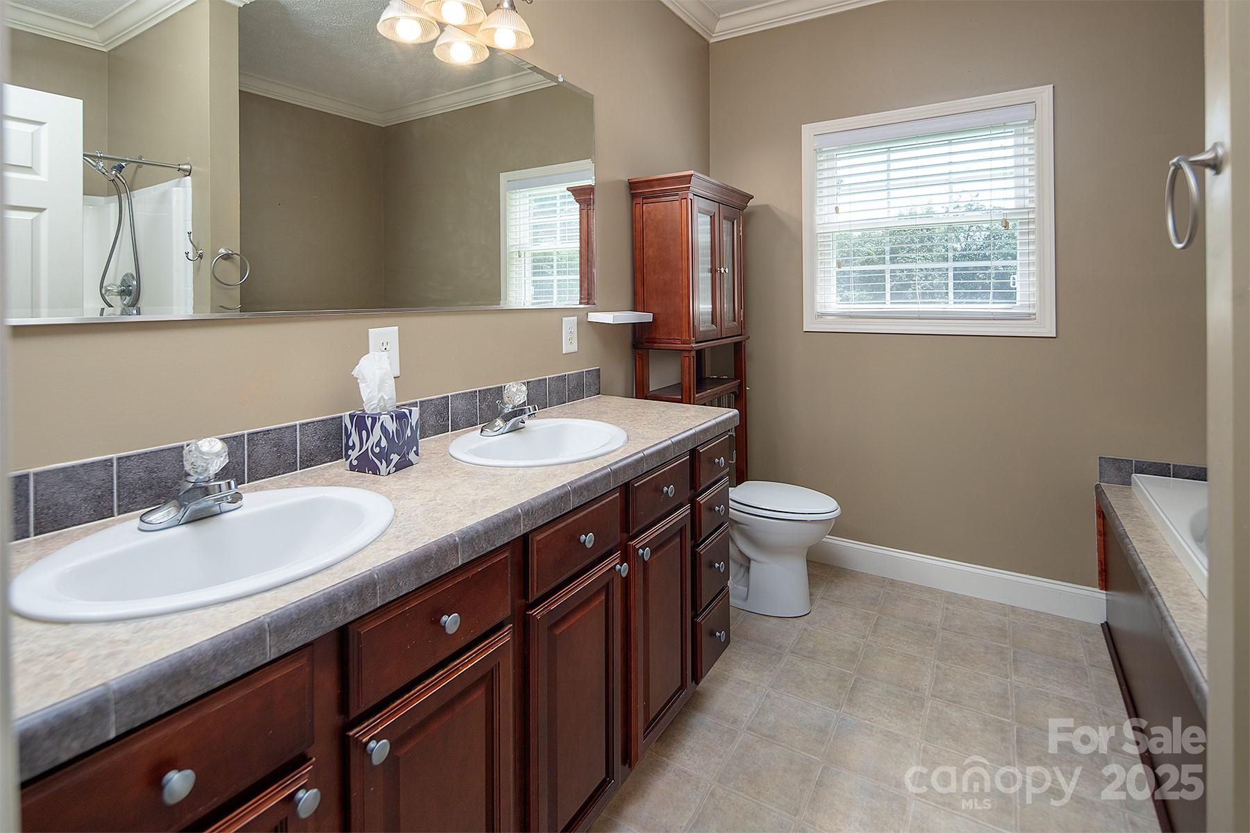 366 Lakehurst Farm Road Norwood, NC 28128 - Photo 26 of 46 a bathroom with a double vanity sink toilet and mirror