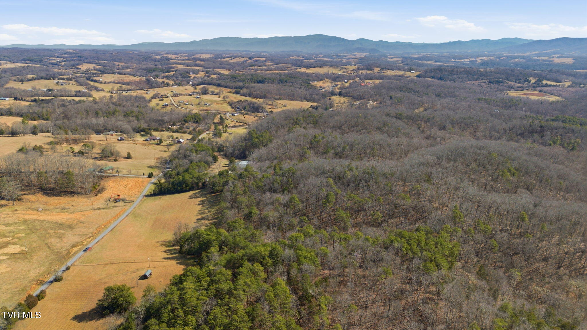 1470 Snake Hollow Road Greeneville, TN 37743 - Photo 11 of 14 3-web-or-mls-DJI_0113