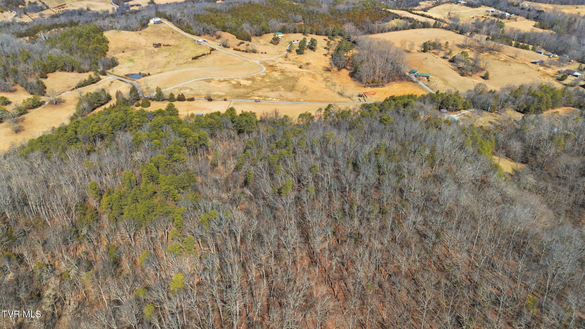 1470 Snake Hollow Road Greeneville, TN 37743 - Photo 12 of 14 4-web-or-mls-DJI_0119