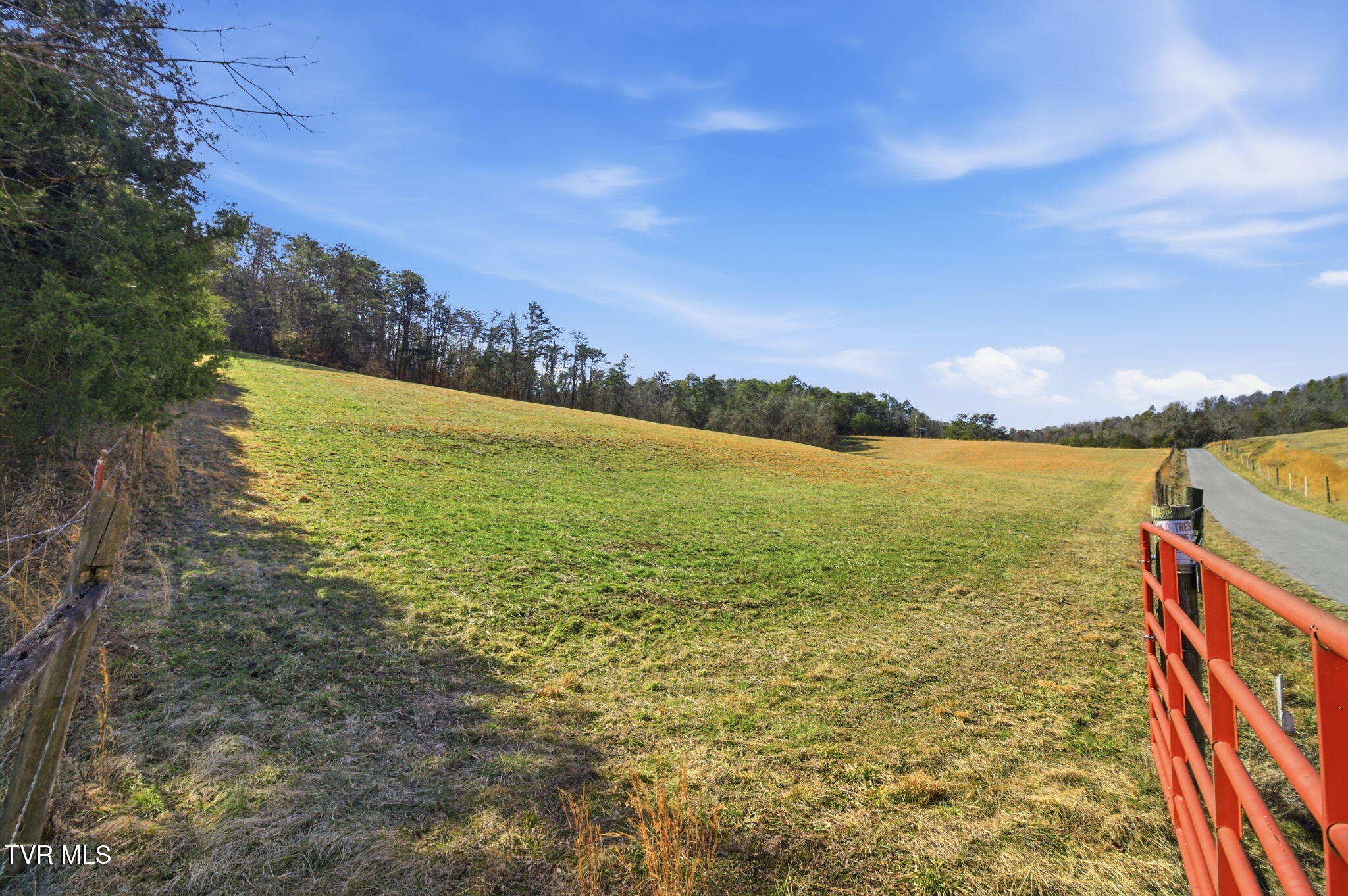 1470 Snake Hollow Road Greeneville, TN 37743 - Photo 2 of 14 13-web-or-mls-DZ3A5337