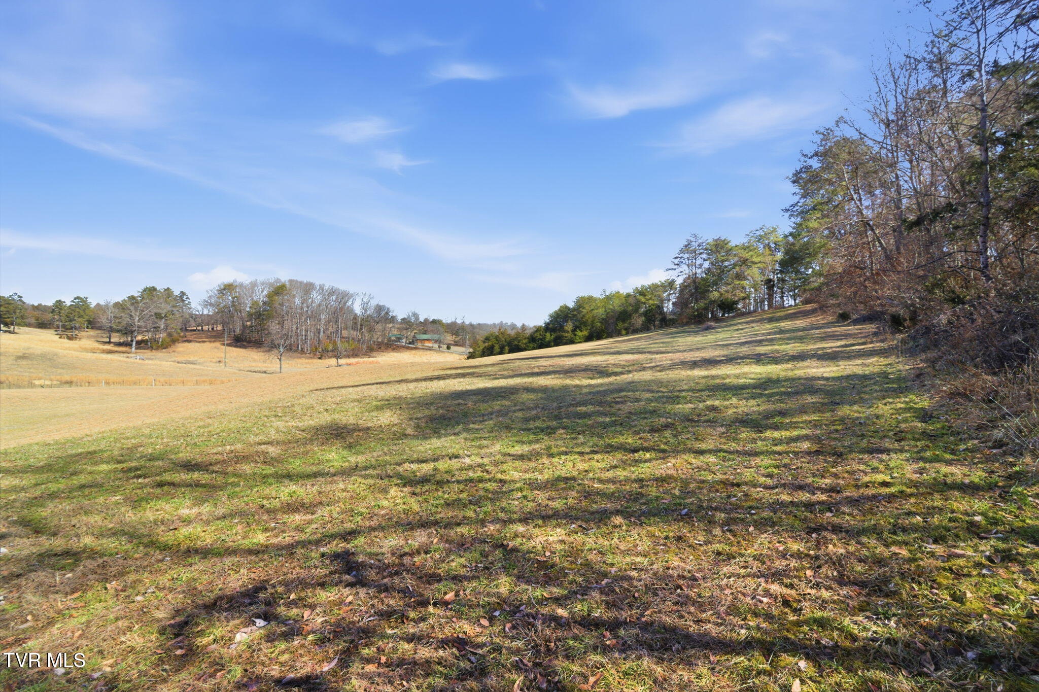 1470 Snake Hollow Road Greeneville, TN 37743 - Photo 4 of 14 11-web-or-mls-DZ3A5325