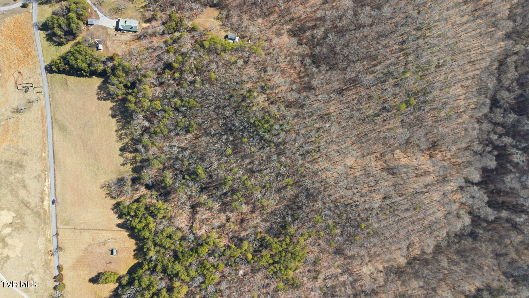 1470 Snake Hollow Road Greeneville, TN 37743 - Photo 9 of 14 1-web-or-mls-DJI_0103