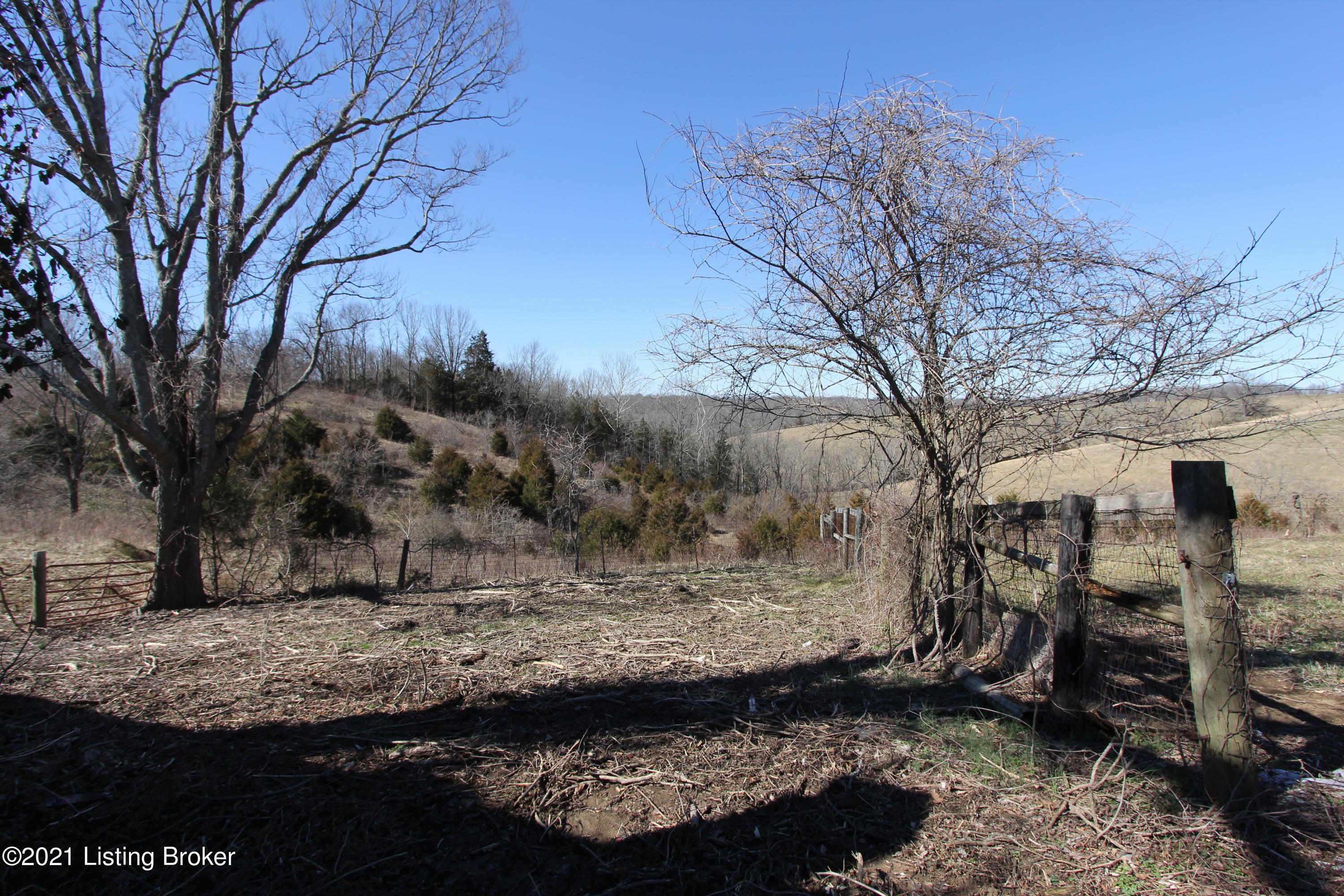 1040 Kays Road Lawrenceburg, KY 40342 - Photo 39 of 45 Back View (6)