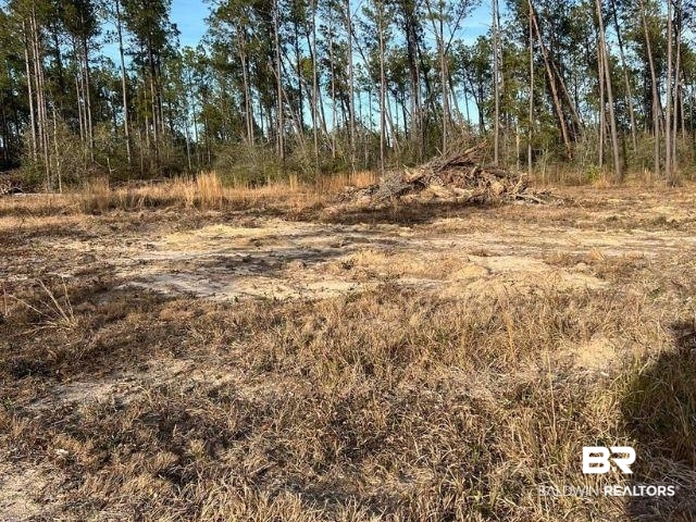 30111 Gardner Road Elberta, AL 36530 - Photo 24 of 29