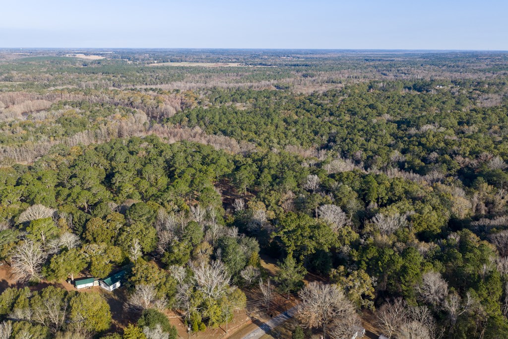 347 North Martin Street Geneva, AL 36340 - Photo 5 of 42