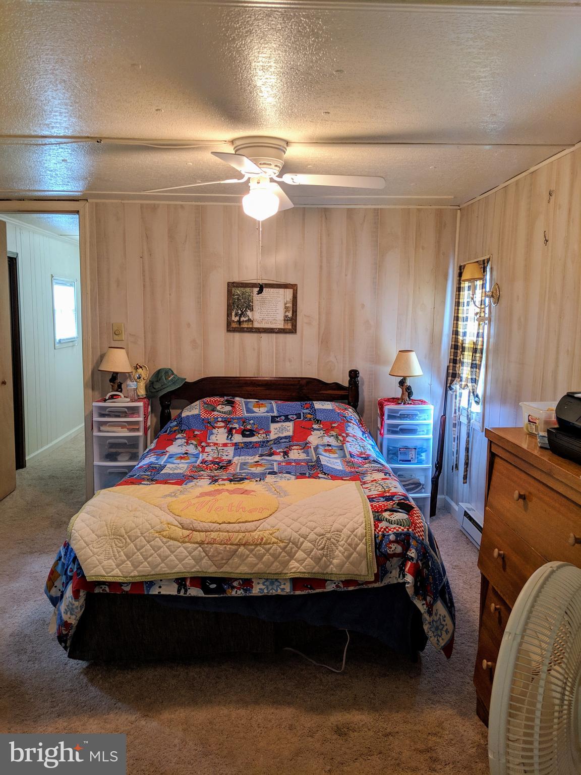 433 St Peters Road Andreas, PA 18211 - Photo 11 of 41 MASTER BEDROOM