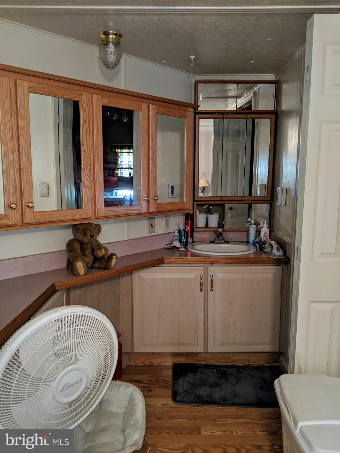 433 St Peters Road Andreas, PA 18211 - Photo 12 of 41 MASTER BATH AREA