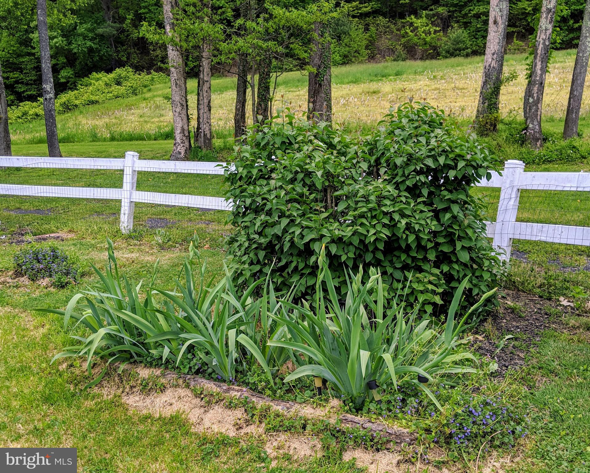 433 St Peters Road Andreas, PA 18211 - Photo 33 of 41 Gallery Image 33