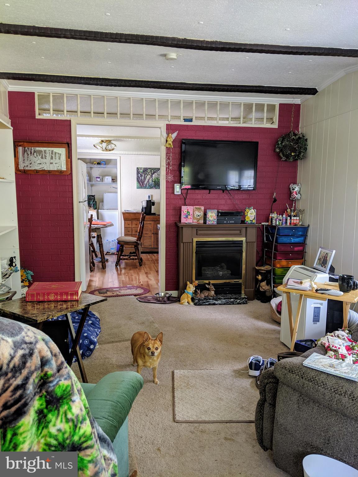 433 St Peters Road Andreas, PA 18211 - Photo 5 of 41 LIVING ROOM PIC 2