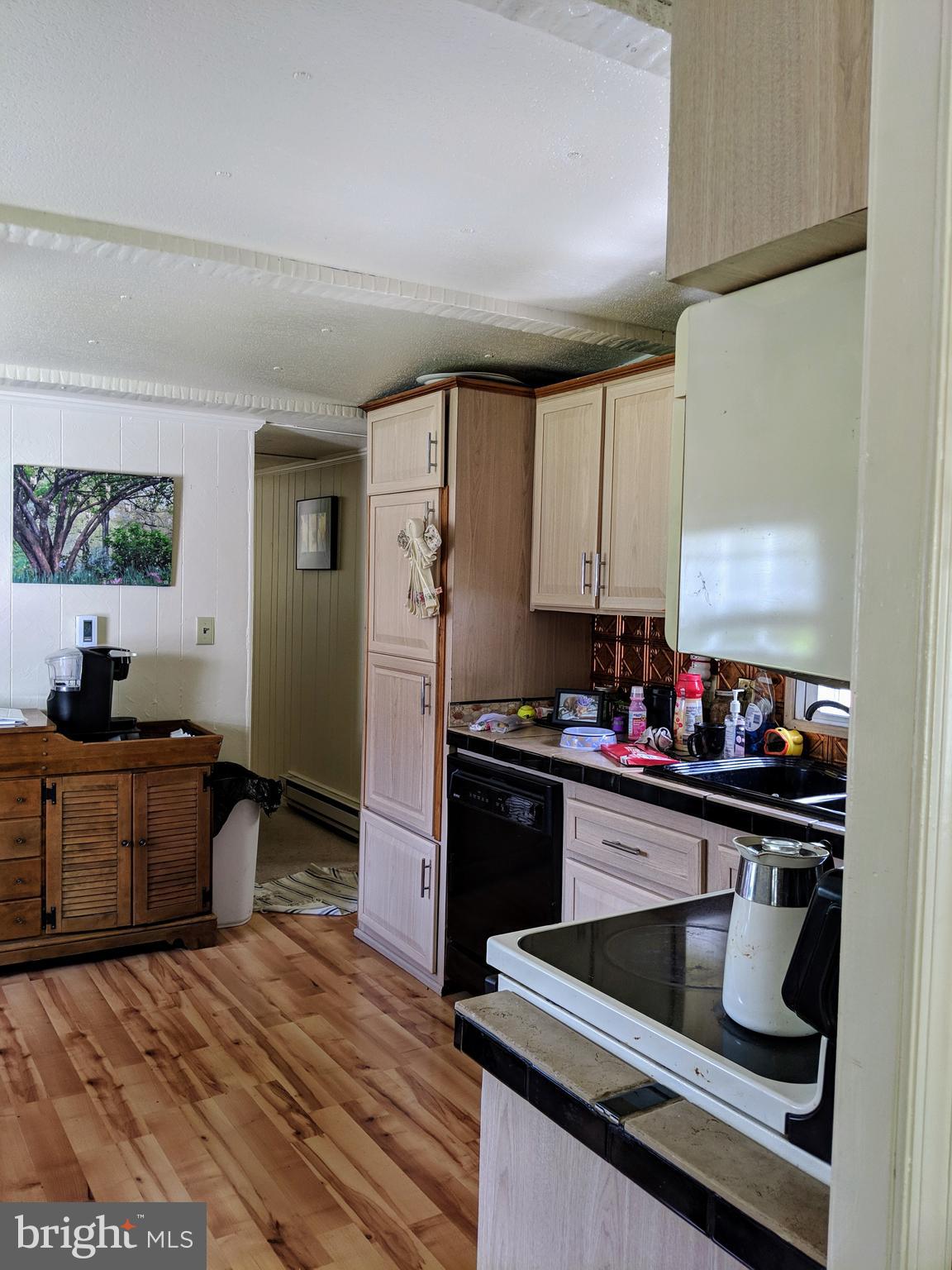 433 St Peters Road Andreas, PA 18211 - Photo 7 of 41 EAT-IN KITCHEN PIC 2