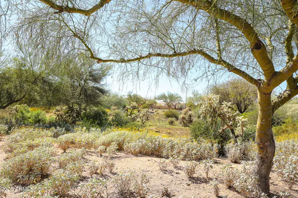 $2,700 | 29211 North 51st Street, Cave Creek, AZ 85331