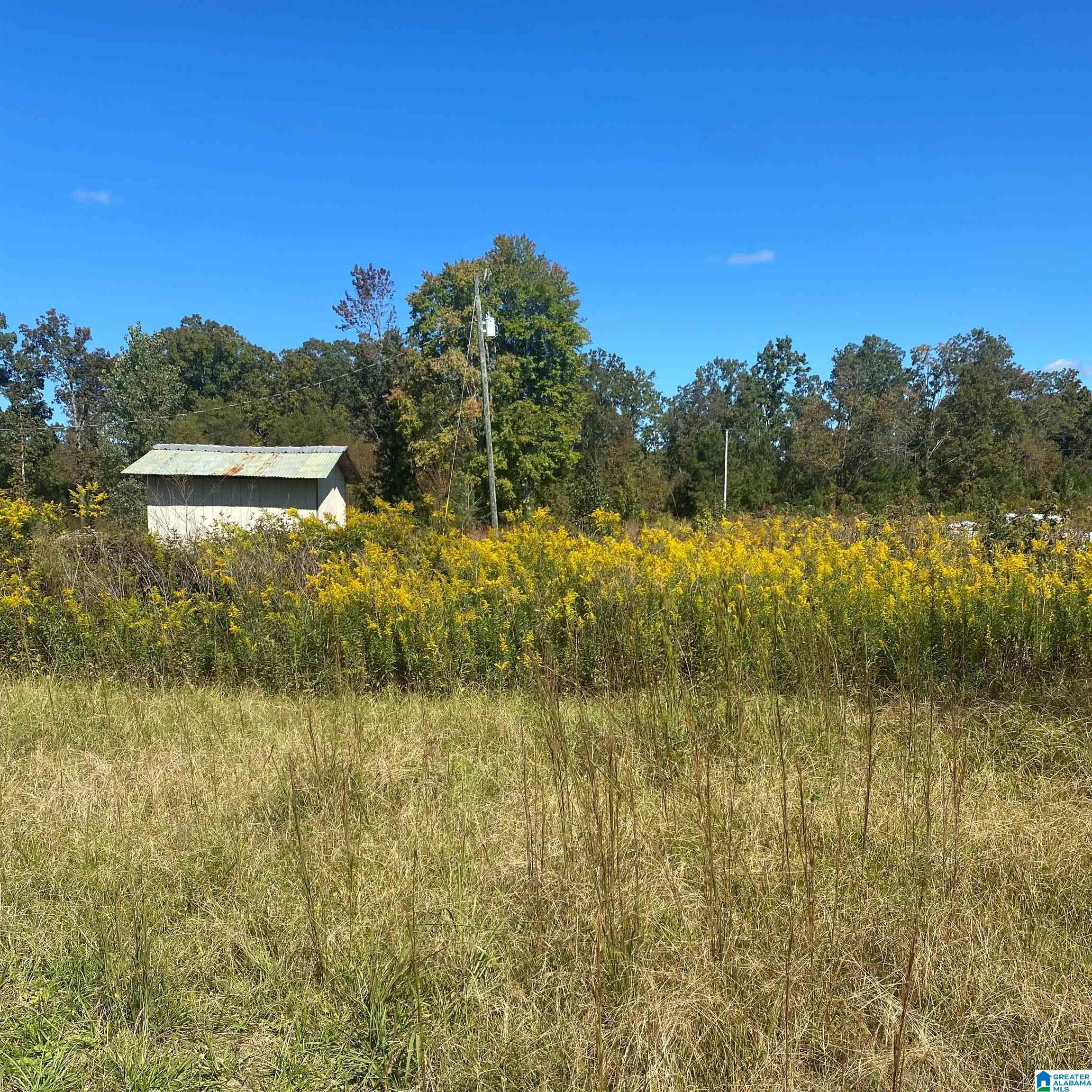1170 Thompson Road Ohatchee, AL 36271 - Photo 22 of 25