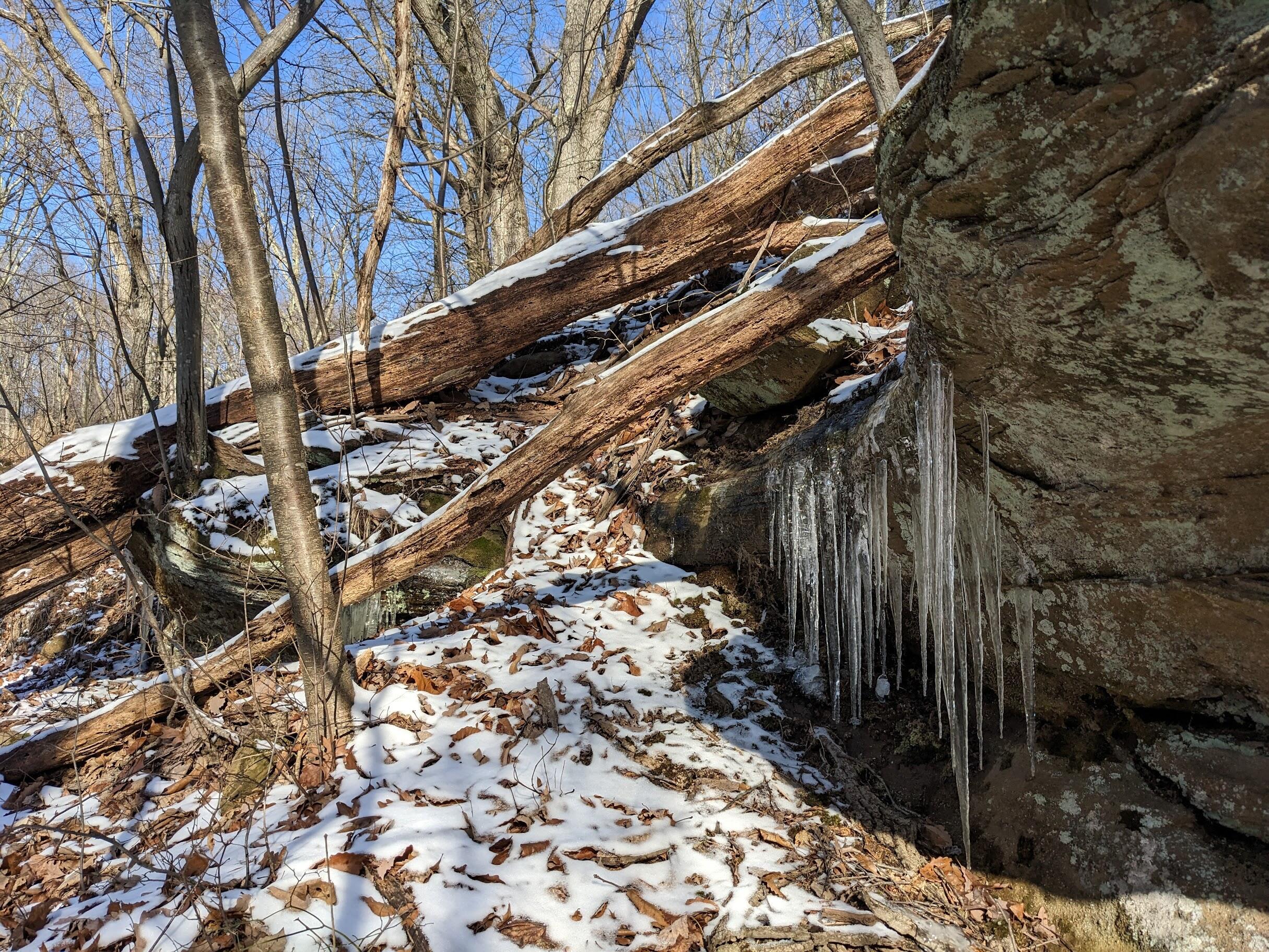 12683 Jack Run Road Lancaster, OH 43130 - Photo 33 of 35 Rock Outcropping Within the Property