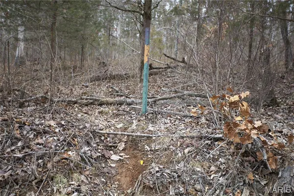 $162,950 | 0 Roderick Road, Cadet, MO 63630