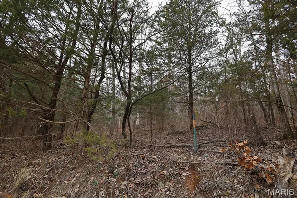 $162,950 | 0 Roderick Road, Cadet, MO 63630