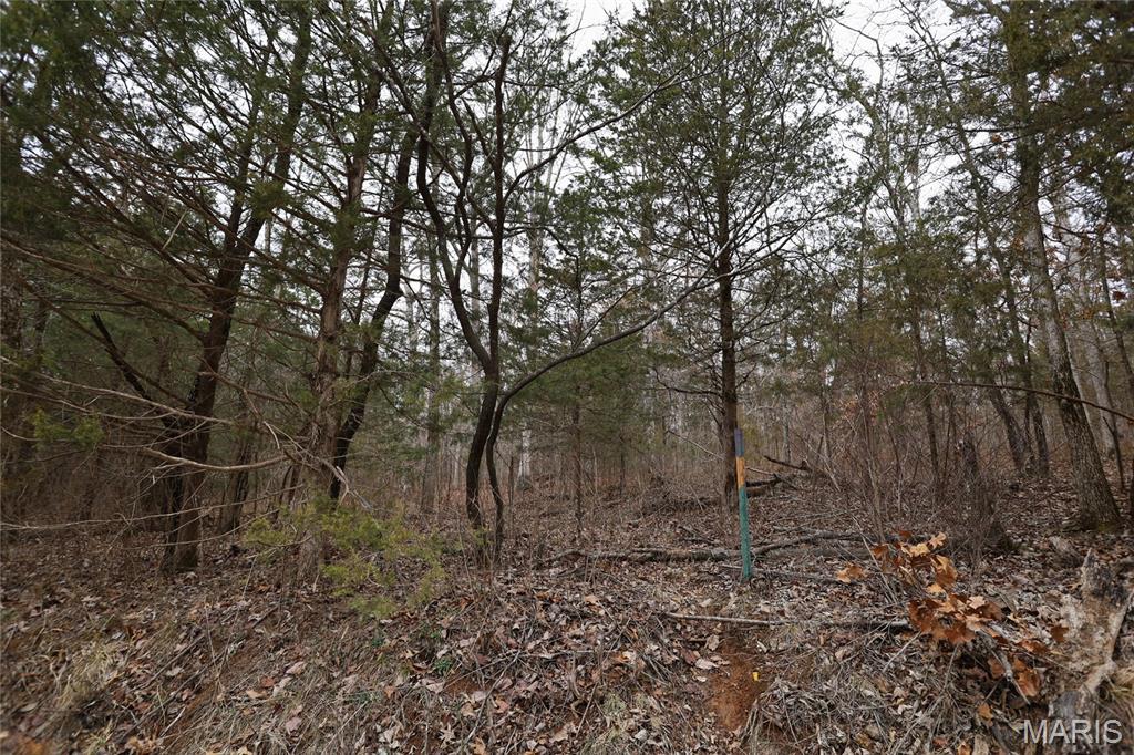 0 Roderick Road Cadet, MO 63630 - Photo 12 of 33