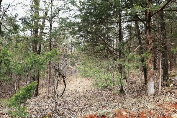 $162,950 | 0 Roderick Road, Cadet, MO 63630