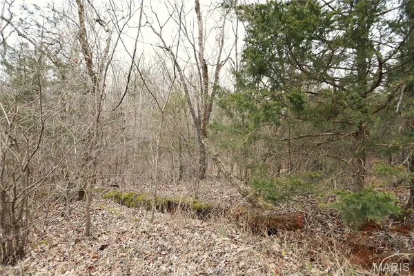 $162,950 | 0 Roderick Road, Cadet, MO 63630